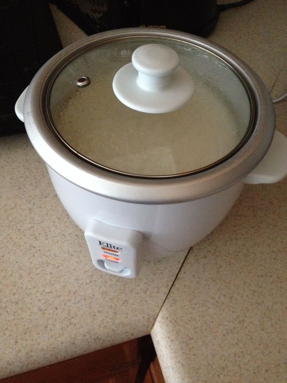 Put the rice in the cooker. Put your finger in the pot and fill until the water reaches a little passed your first knuckle. This is the way my Hawaiian boyfriend taught me and it's always worked!