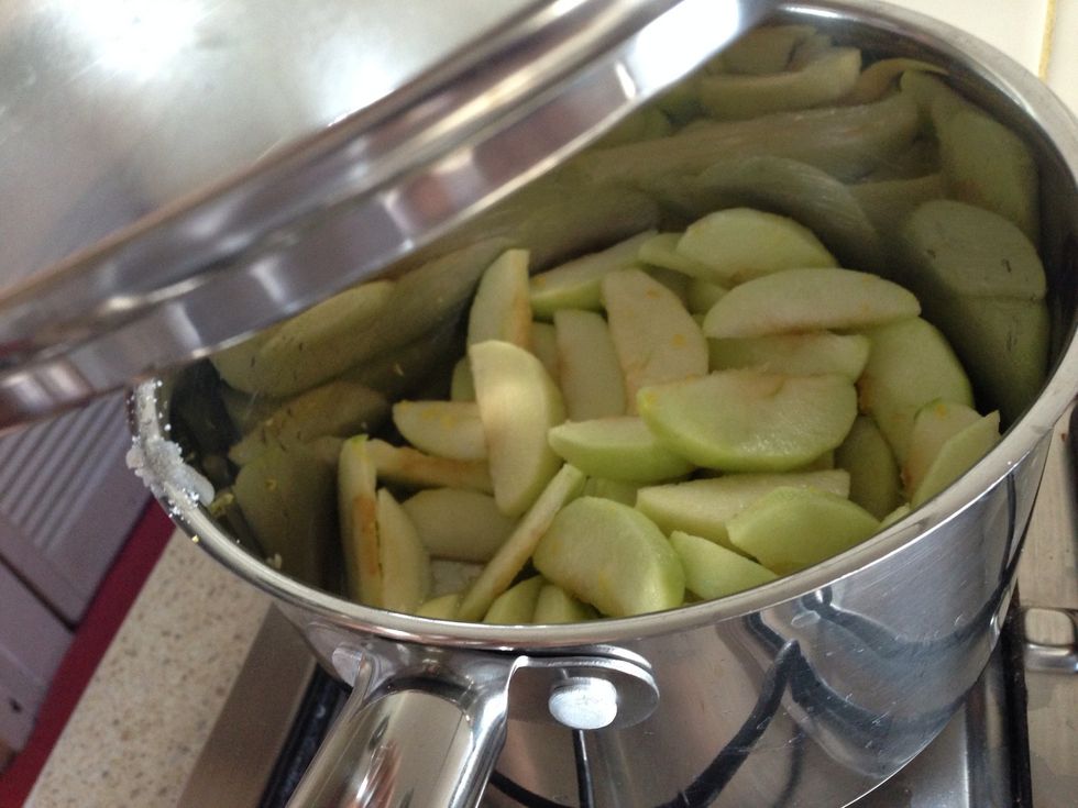 Put the stove on low heat, cover saucepan and simmer for 10 minutes or until apple is soft, occasionally stirring the ingredients.