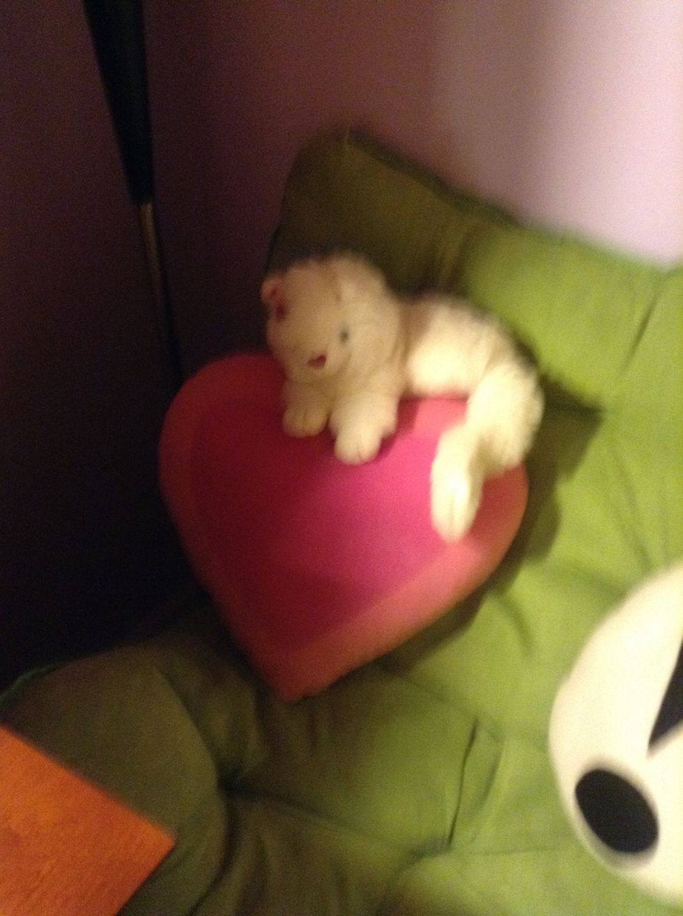 Put the stuffed animal any where.