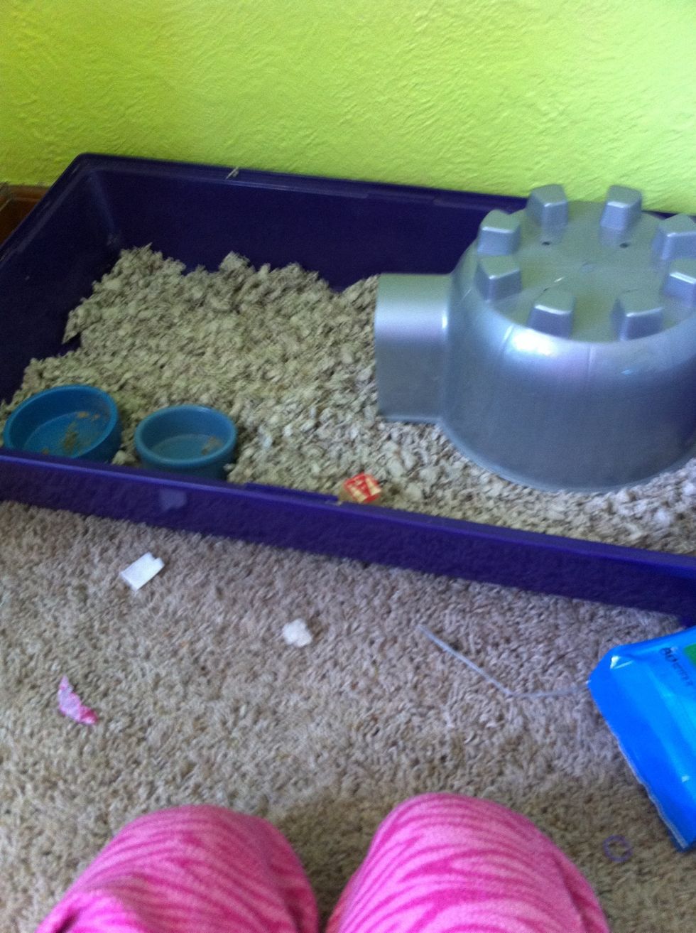 Put the supplies back in.