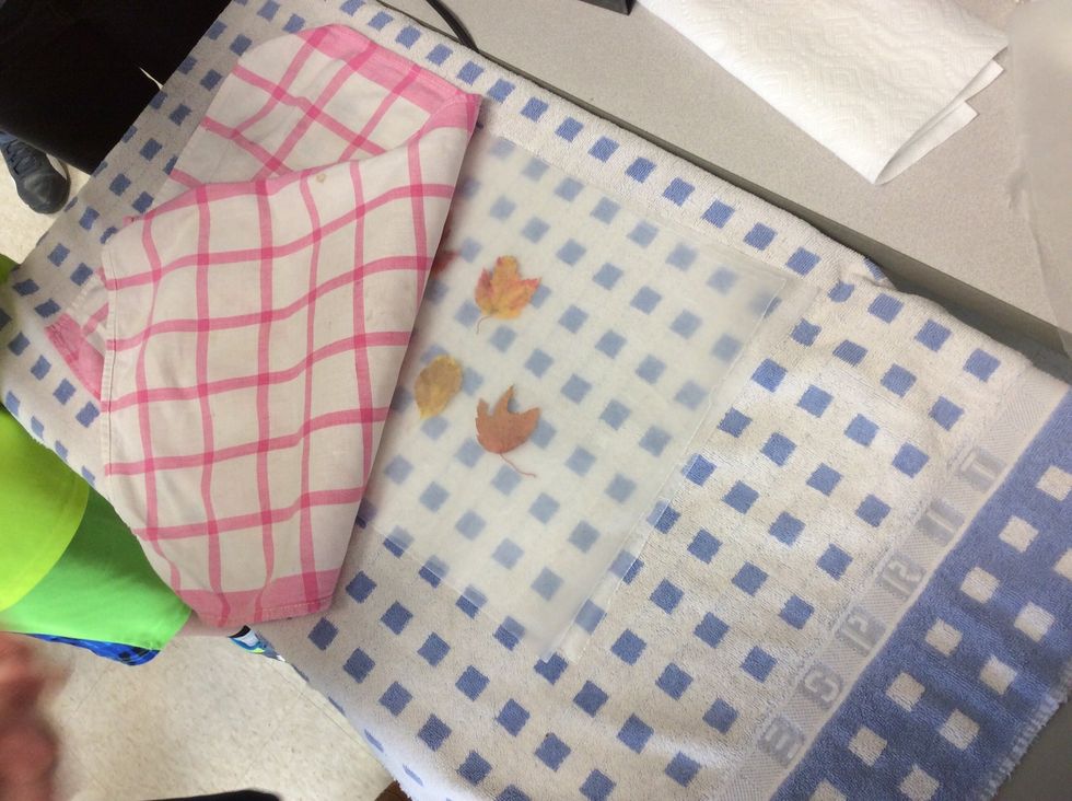 put the thin towel on top of the wax paper and the leaves.