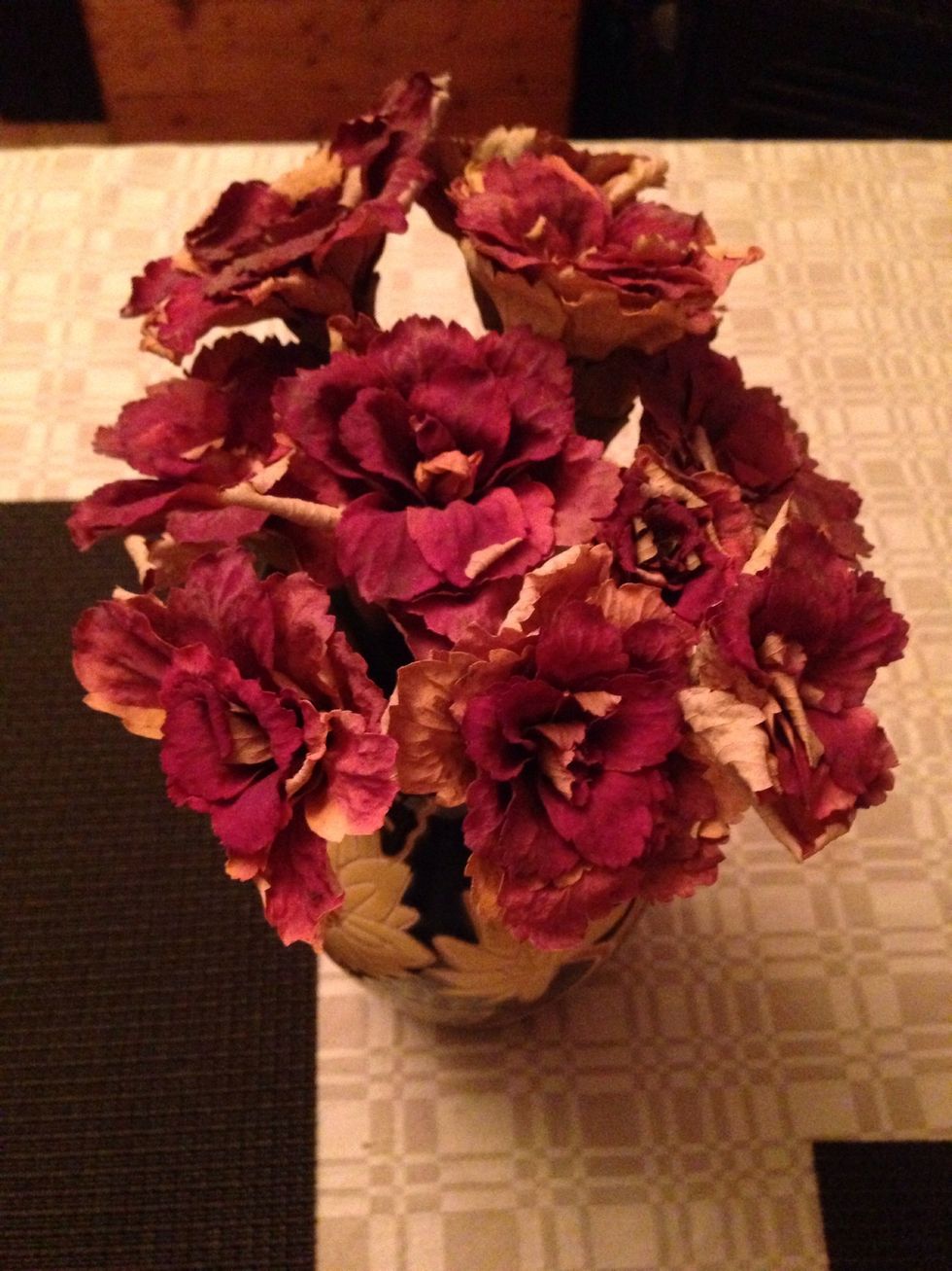 Put them in a vase, this is how they look when they have dried