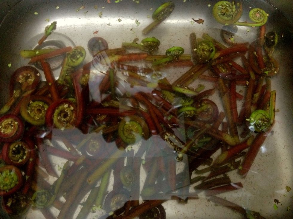 Put them in the water.