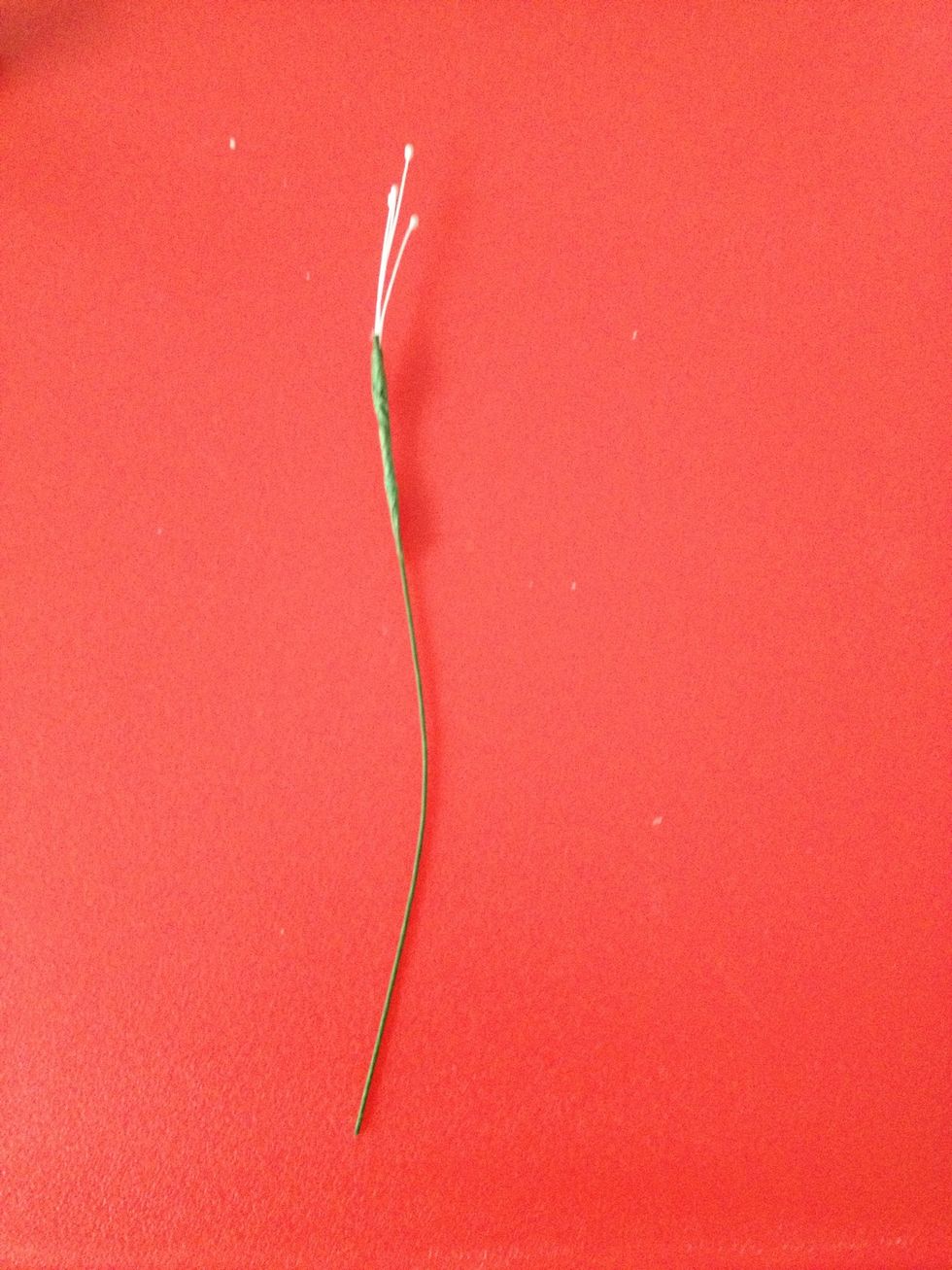 Put two stamens together and fold in half, attatch to wire with tape