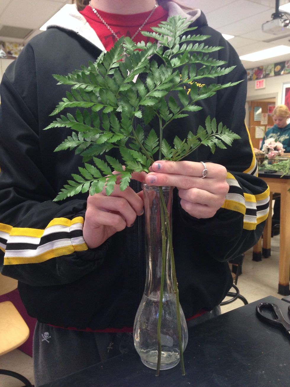put vase on end of table, put bakers fern next to vase. cut down bakers fern until the bottom of the bakers fern touches the vase