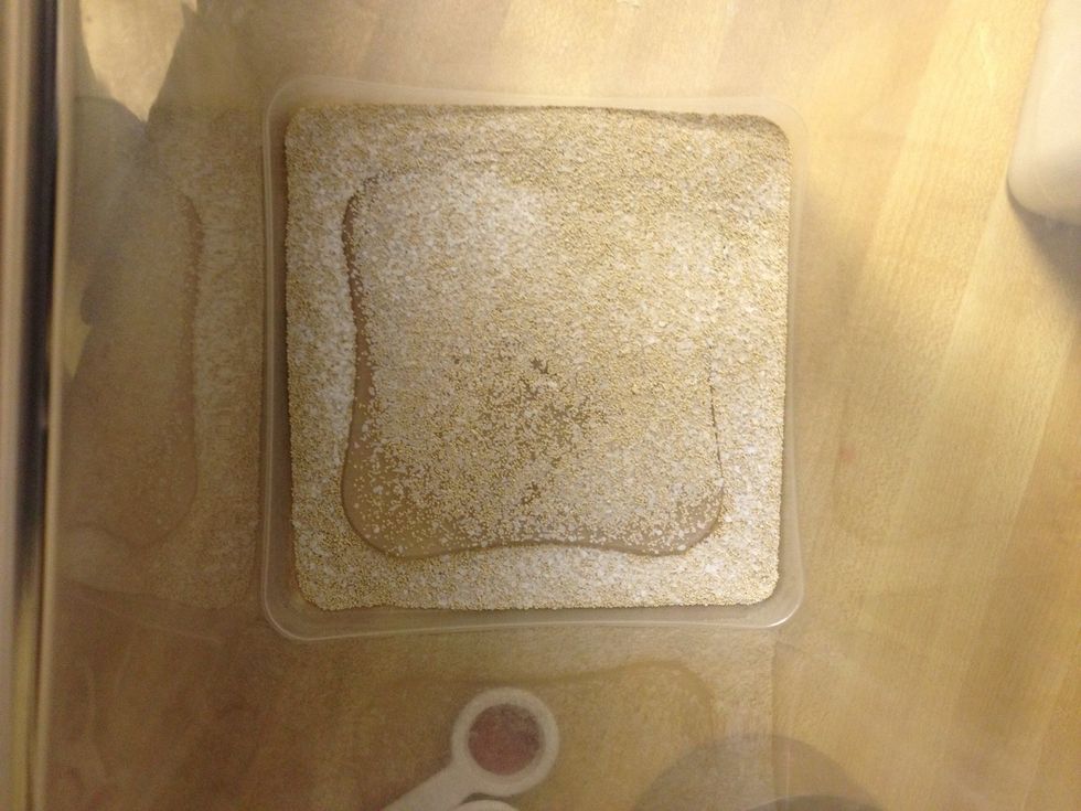 Put yeast and salt in the container.