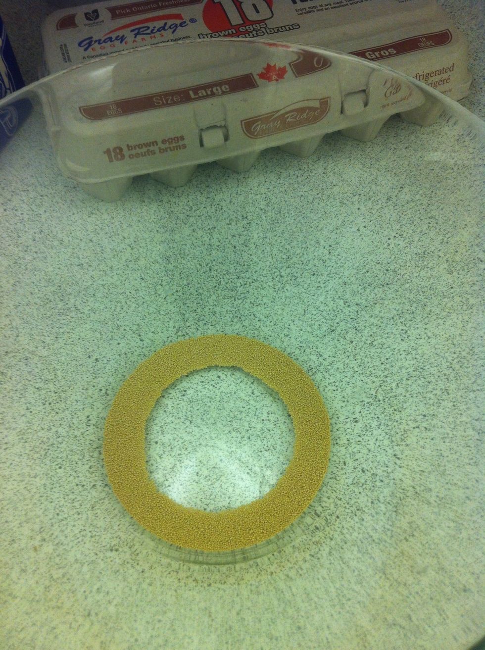 Put yeast into plate