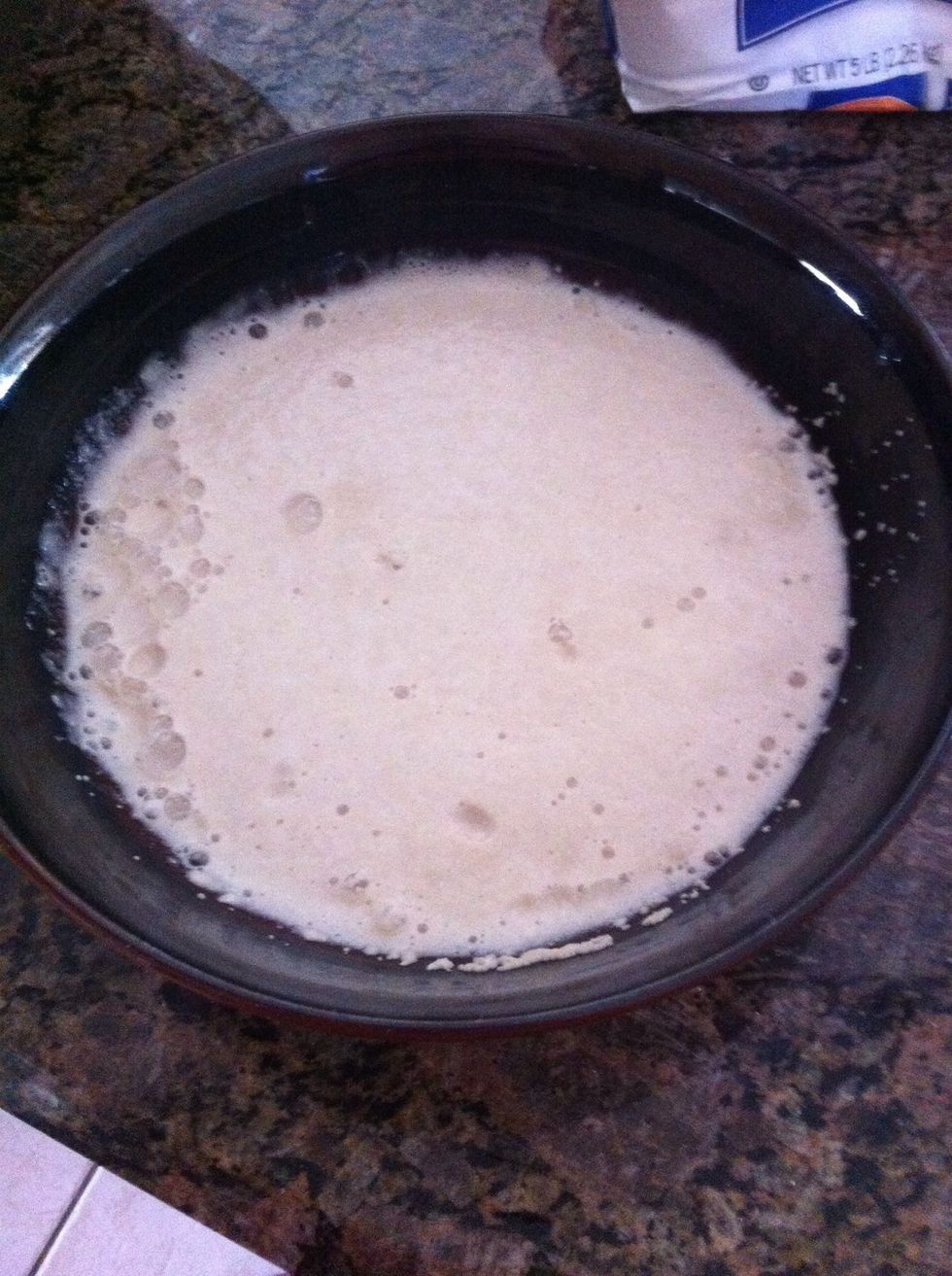 Put yeast on a small container, add sugar and hot water. Let it sit for 10 min. It has to look like this.
