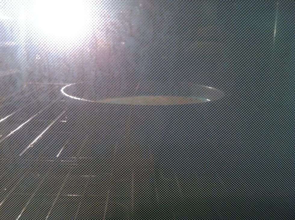 Put your cake into the  preheated oven. Set your timer for however long the box instructs you to.