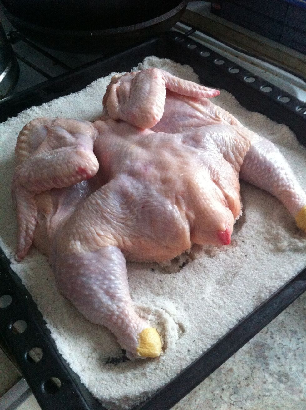 Put your chicken on top of the salt
