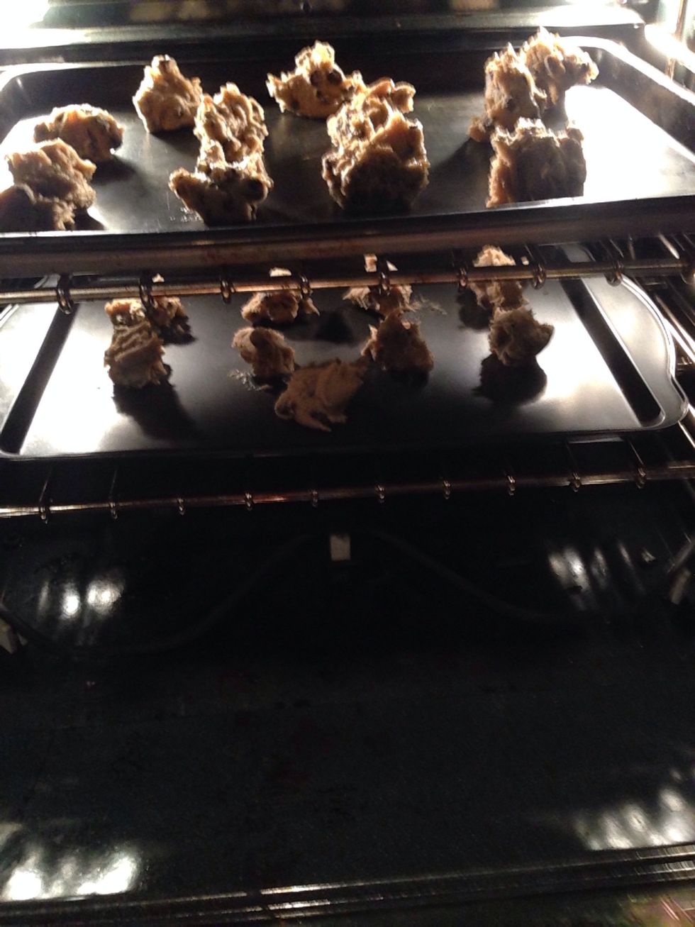 Put your cookies in the oven and shut the door.