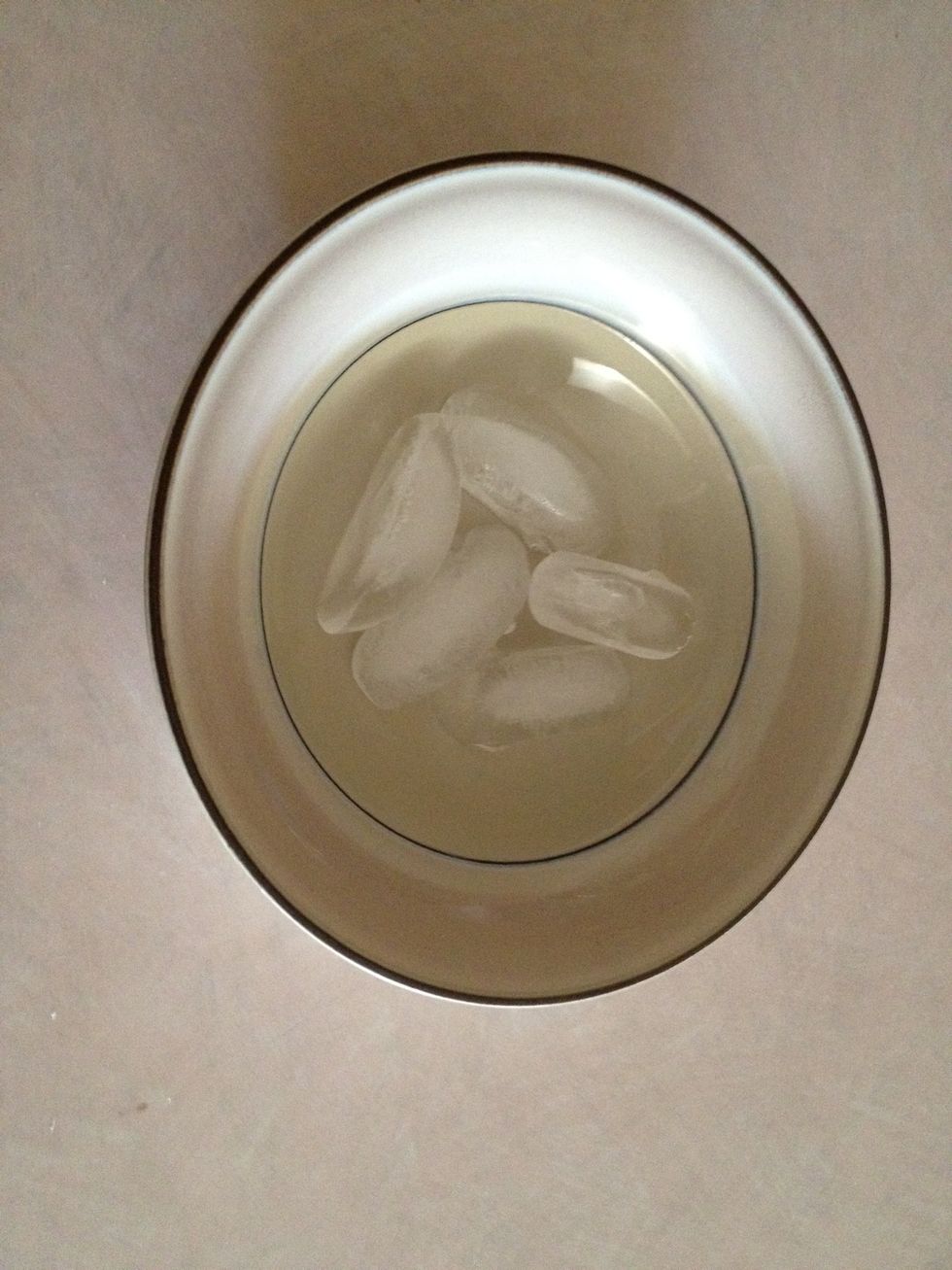 Put your ice cubes in the bowl.