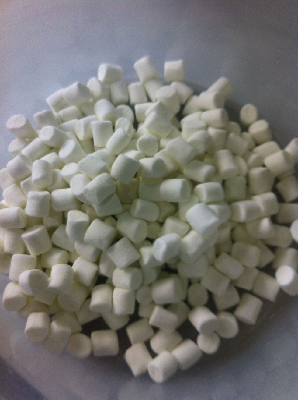 Put your miniature marshmallows in a bowl .
