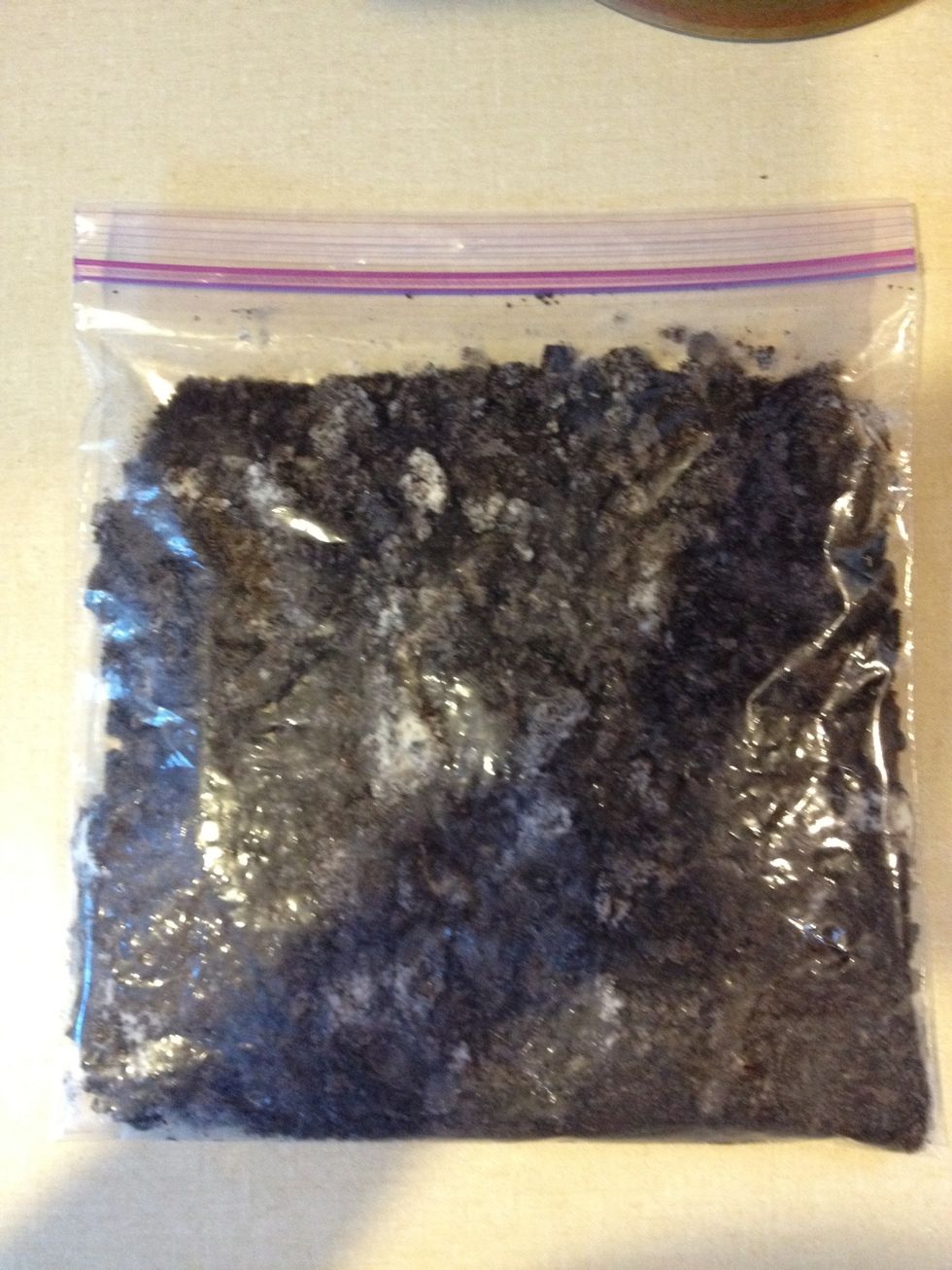 Put your Oreos in a ziplock bag and smash them. I used an ice cream scoop.