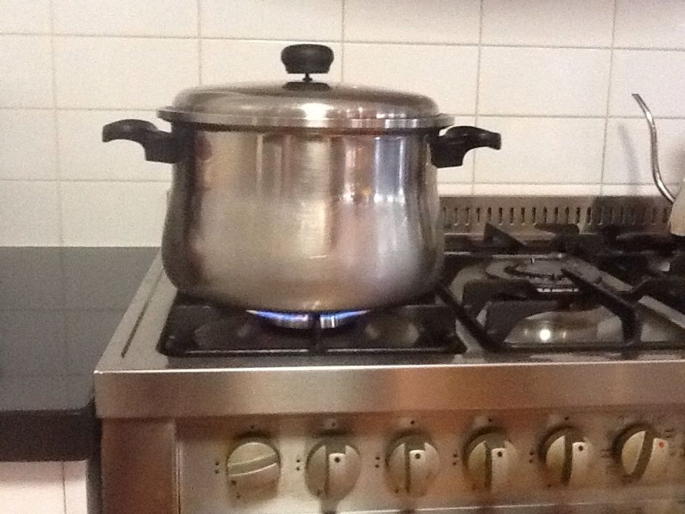 Put your pot on the stove and wait until it boils, when your water starts to boil take of the lid and put 500g pasta in the pot