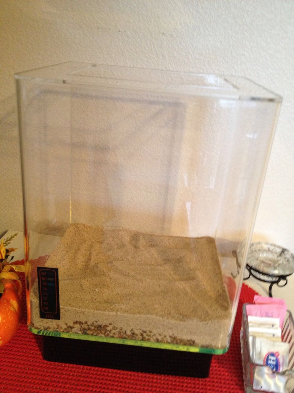 Put your tank in its new home.