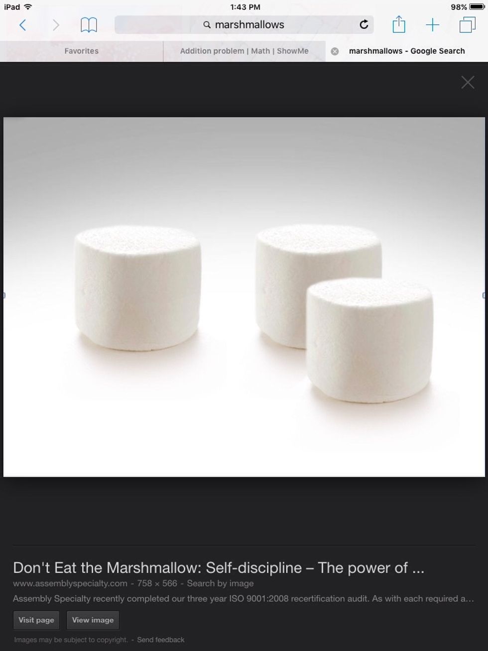 Putt the marshmallow on the stick.