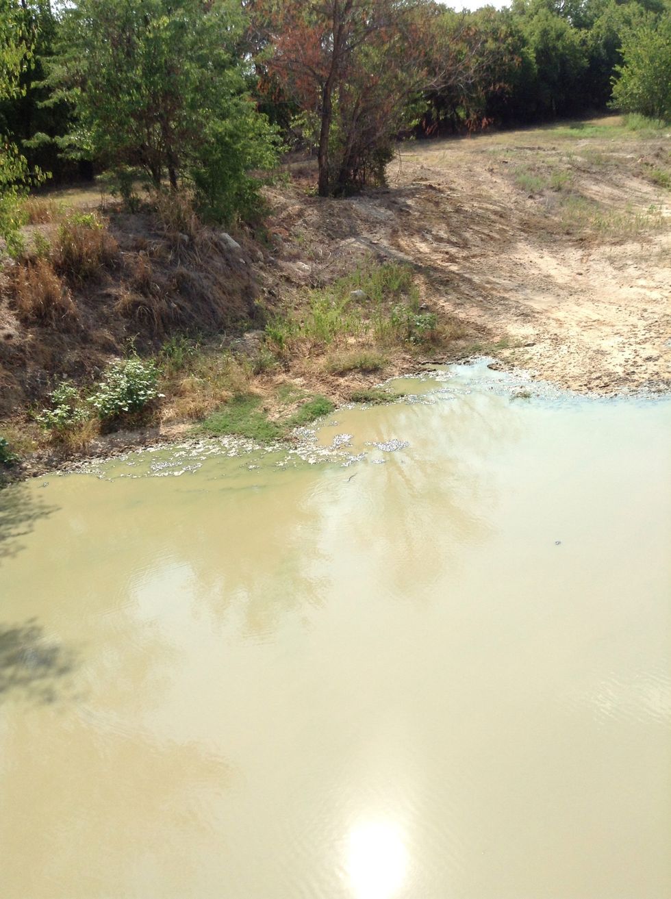 Qeshten 3? Is the snake going to land