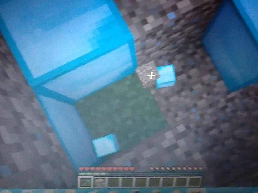 Quan el veieu hos apropeu i l'agafeu
