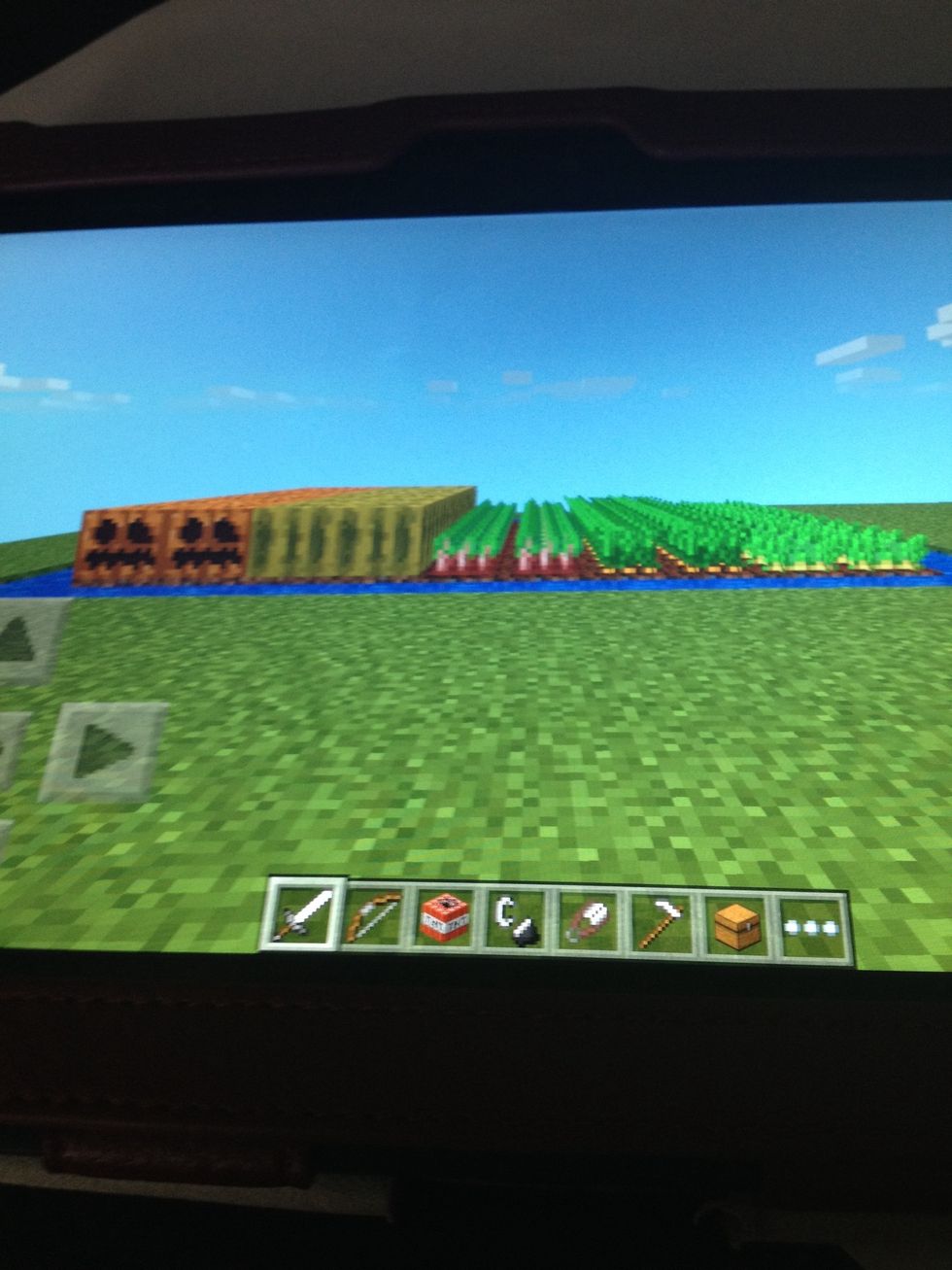 Radom farm.