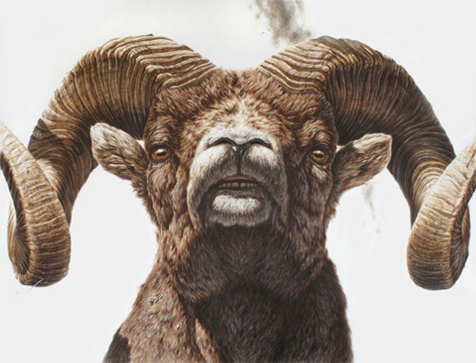 Random Access Memory (RAM): Memory that is constantly being written to and read from. It does not retain its contents without a constant supply of power, ie when a computer is turned off.