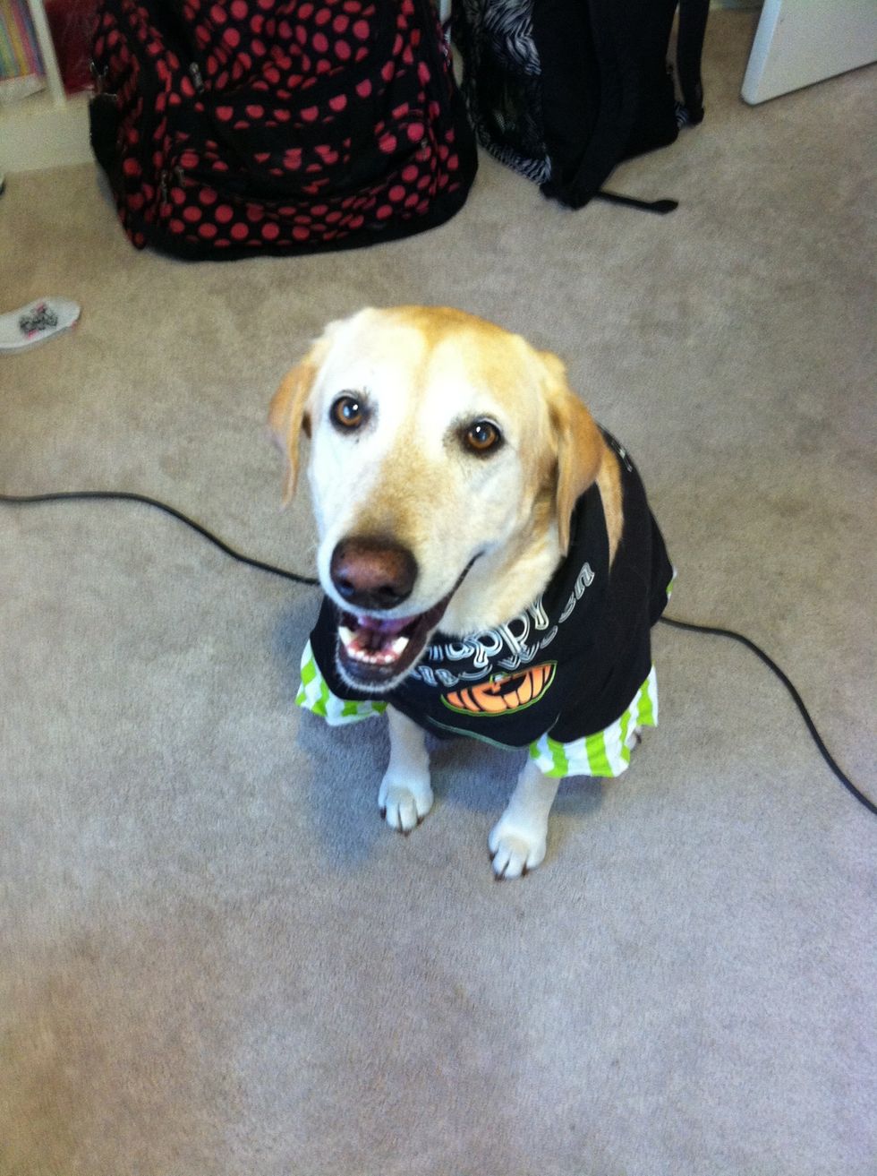 Random photo of my little cutie in her Halloween costume!