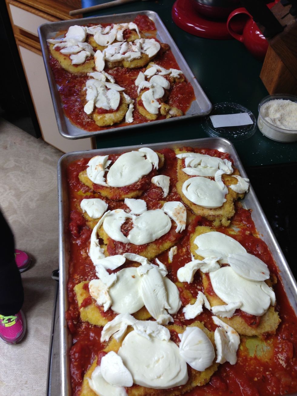 Ready for the oven