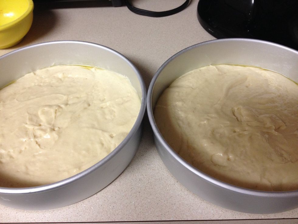 Ready to bake! The cakes bake for 30-35 minutes.  Mine only took 30 minutes, use a tooth pick to check if  they are done