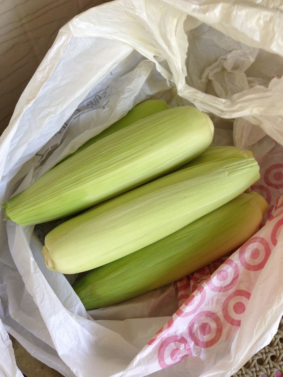 Ready to store in the refrigerator... Seal bag with a twist tie.