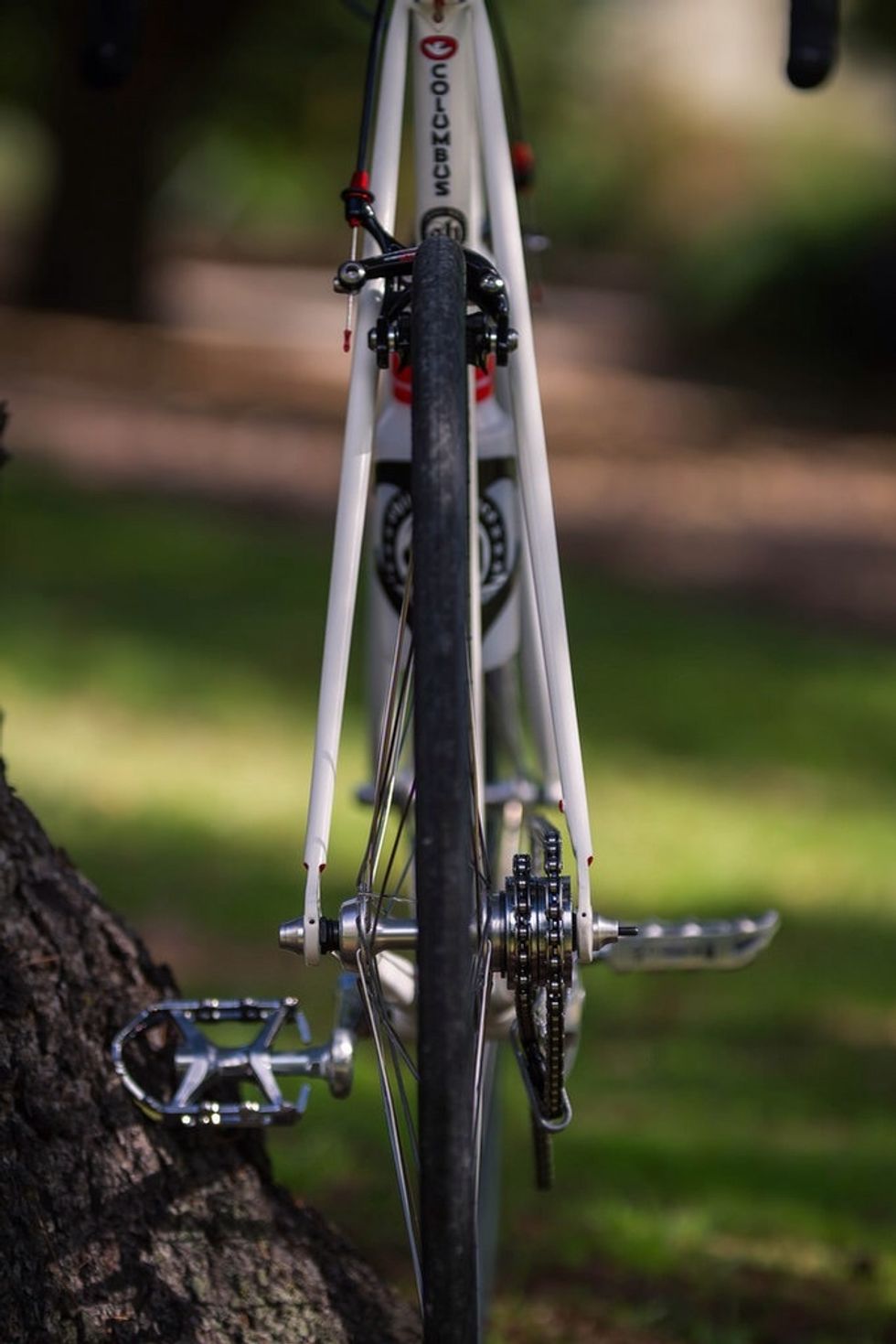 Rear view of chain line and freewheels.