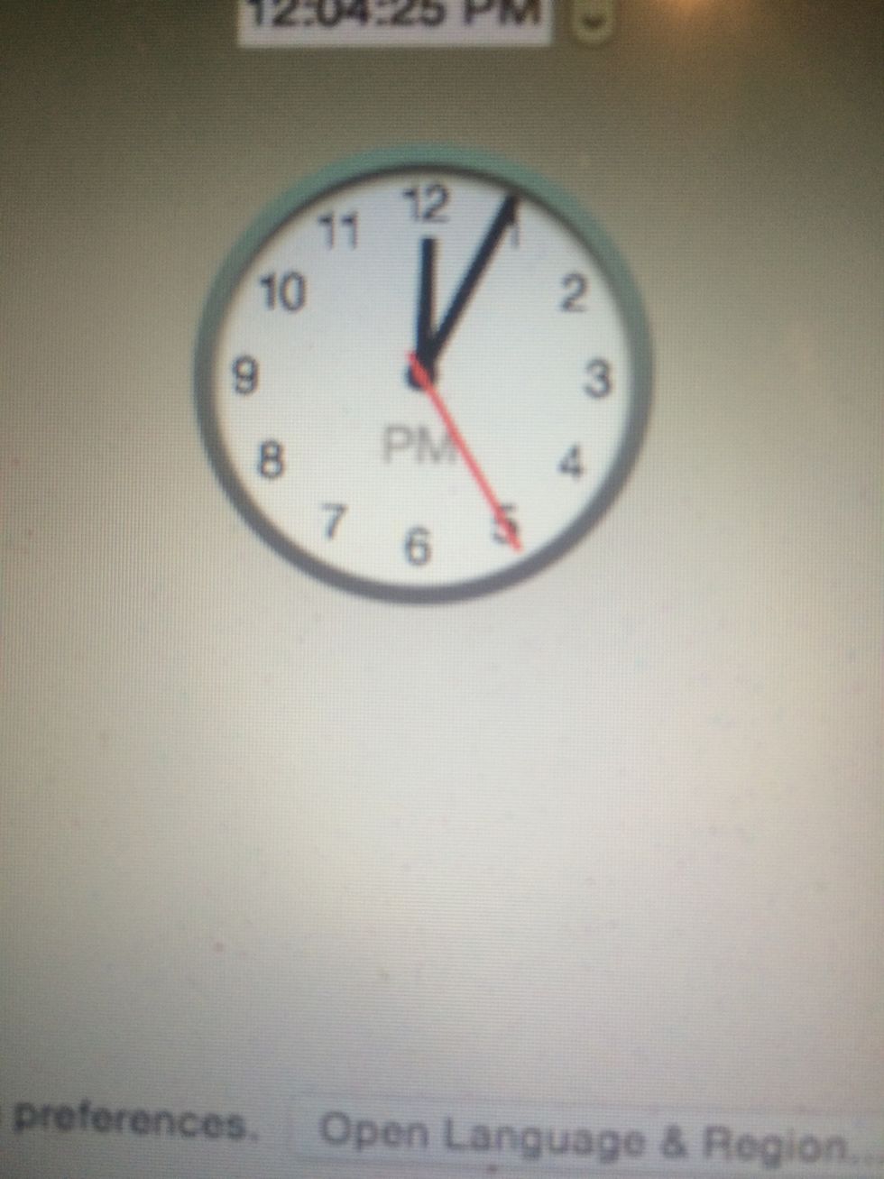 Record Start Time: 12:04