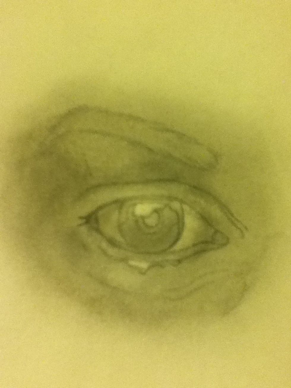 Redraw your outlines that have disappeared:)