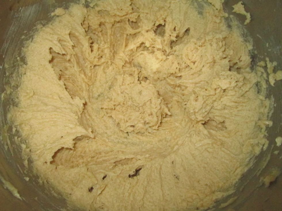 Reduce speed to low, add salt, vanilla and eggs.