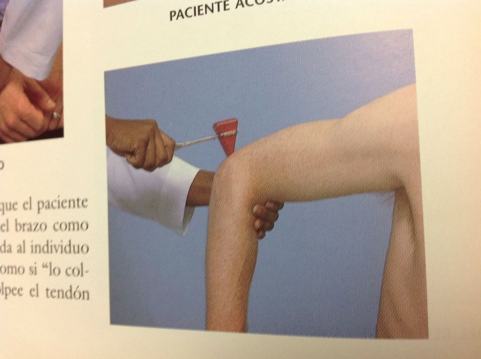 Reflejo del tr\u00edceps con el paciente sentado para facilitar la exploraci\u00f3n. Se le debe de pedir al paciente colocar su brazo como s\u00ed est\u00e9 se estuviera secando.