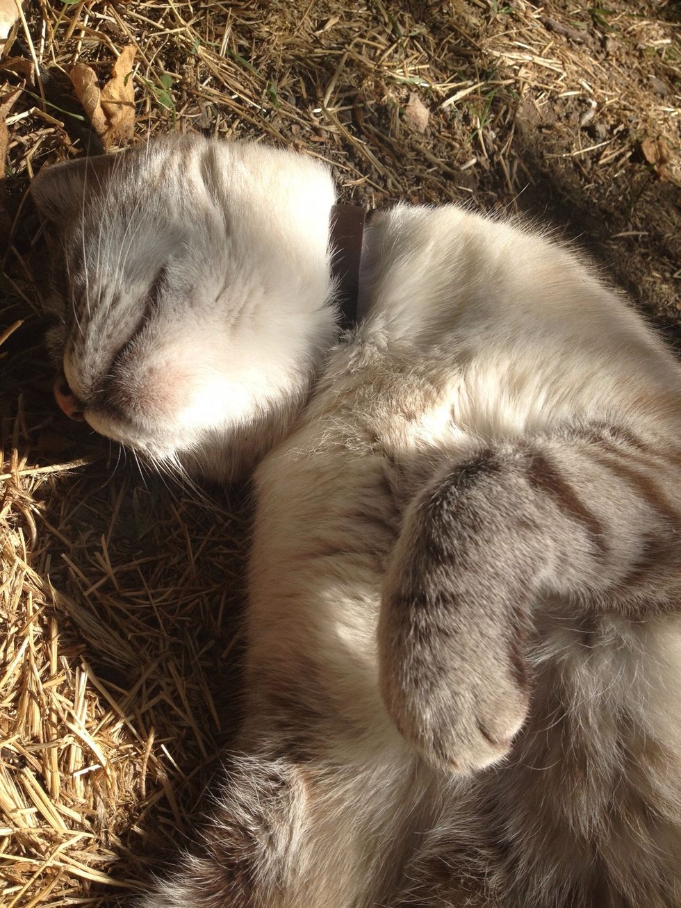 Relax! As you practise!!!