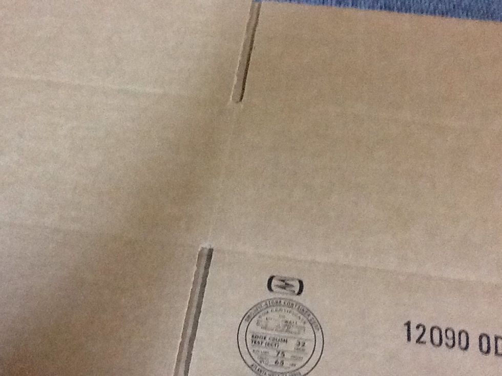 REMEMBER, NO CARDBOARD!!!!!!!