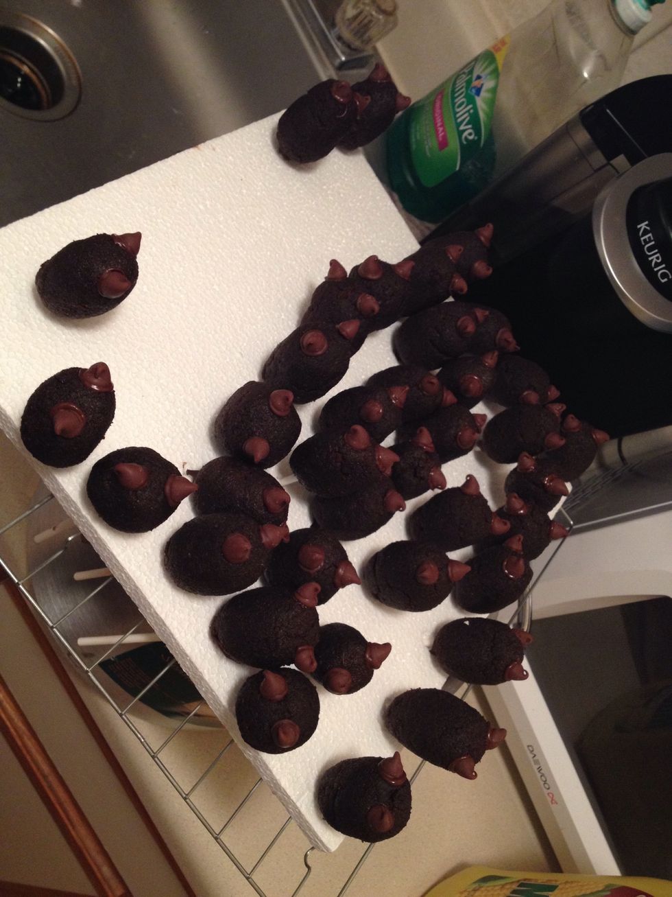 Remember: please remember keep the cake balls that you are not using in the refrigerator to keep them chilled.