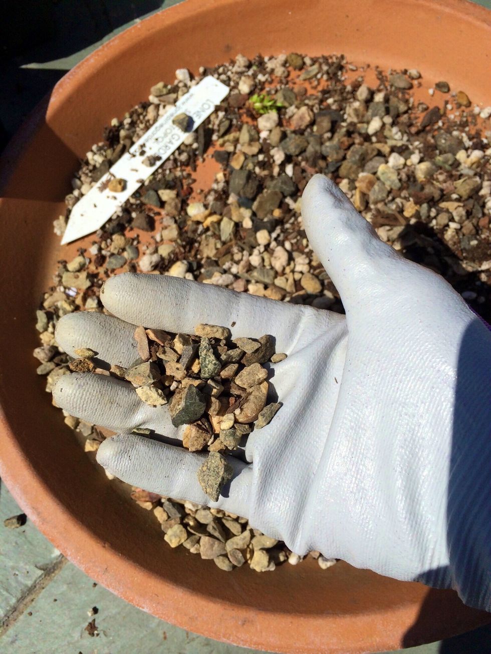 Remember the decorative rocks from Step 10? You can use the same rocks (I did). If you prefer you may add different ones too.