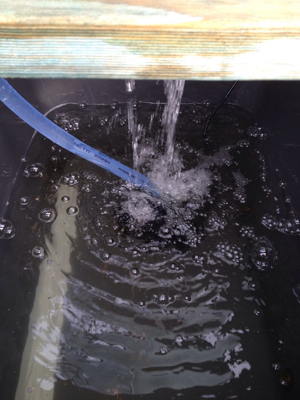 Remove all fish and any potted plants from circulation and add 5ml of peroxide 3% to every 100 lts. I have 1000 lt so i added 50mls and left the pump running