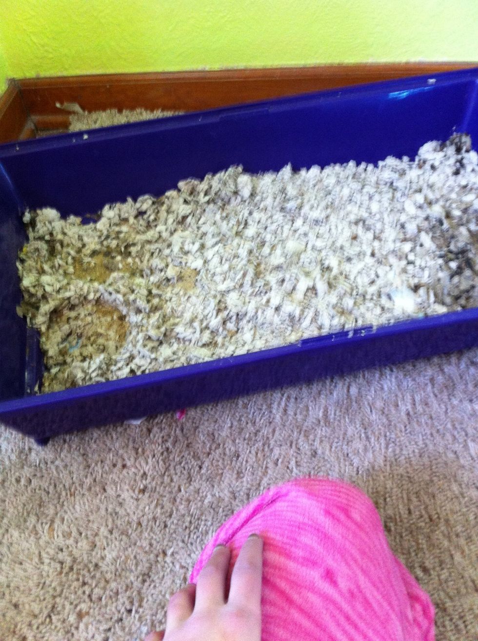 Remove all the toys and food dishes.