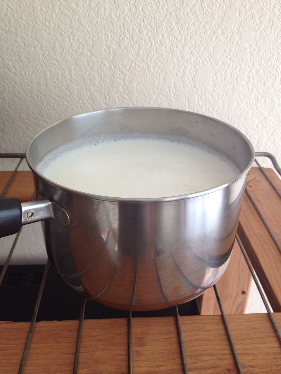 ..remove from the stove and allow to cool. Stir to speed up the cooling process. It's cool enough when the milk feels warm when you stick your clean pinky finger (or any finger really lol) in it.