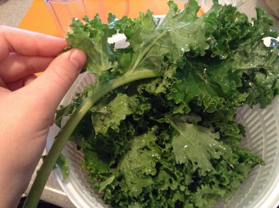 Remove Kale leaves from big stock