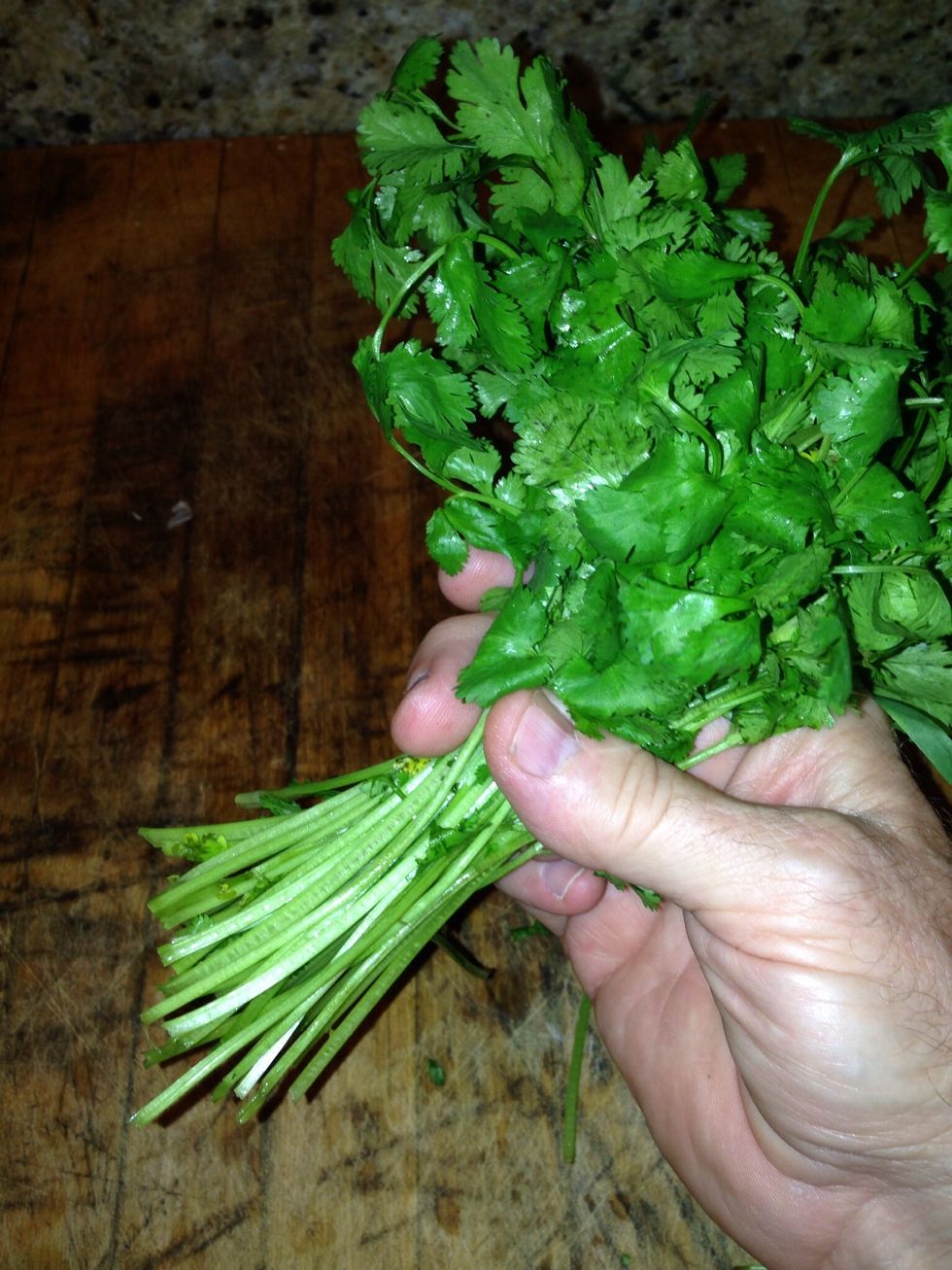 Remove leaves from the lower part of stems.