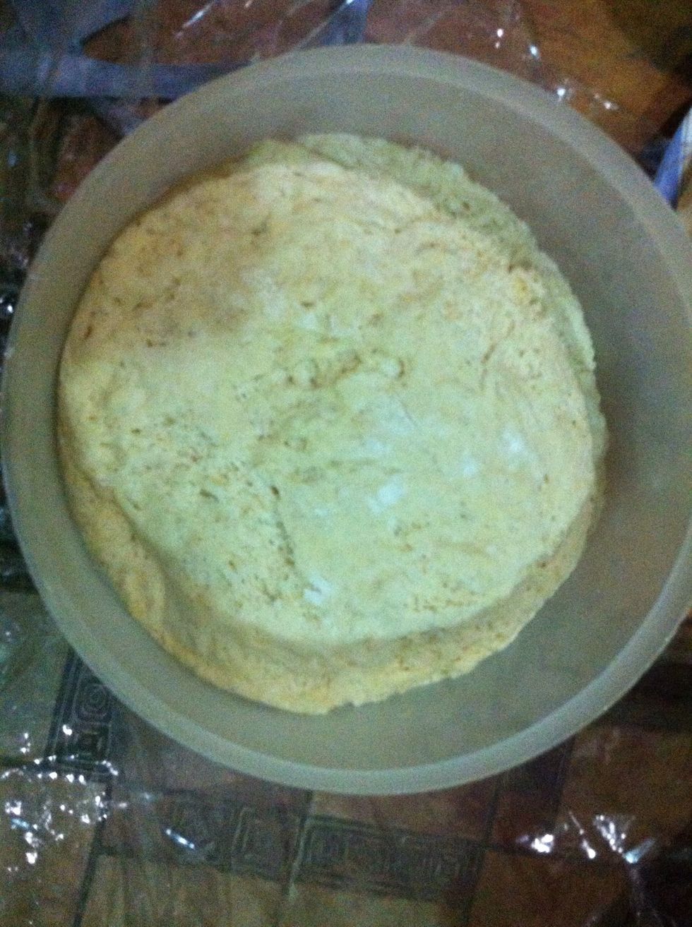 remove plastic from dough and u can see that it is doubled in size