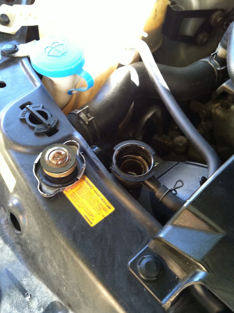 Remove radiator cap.