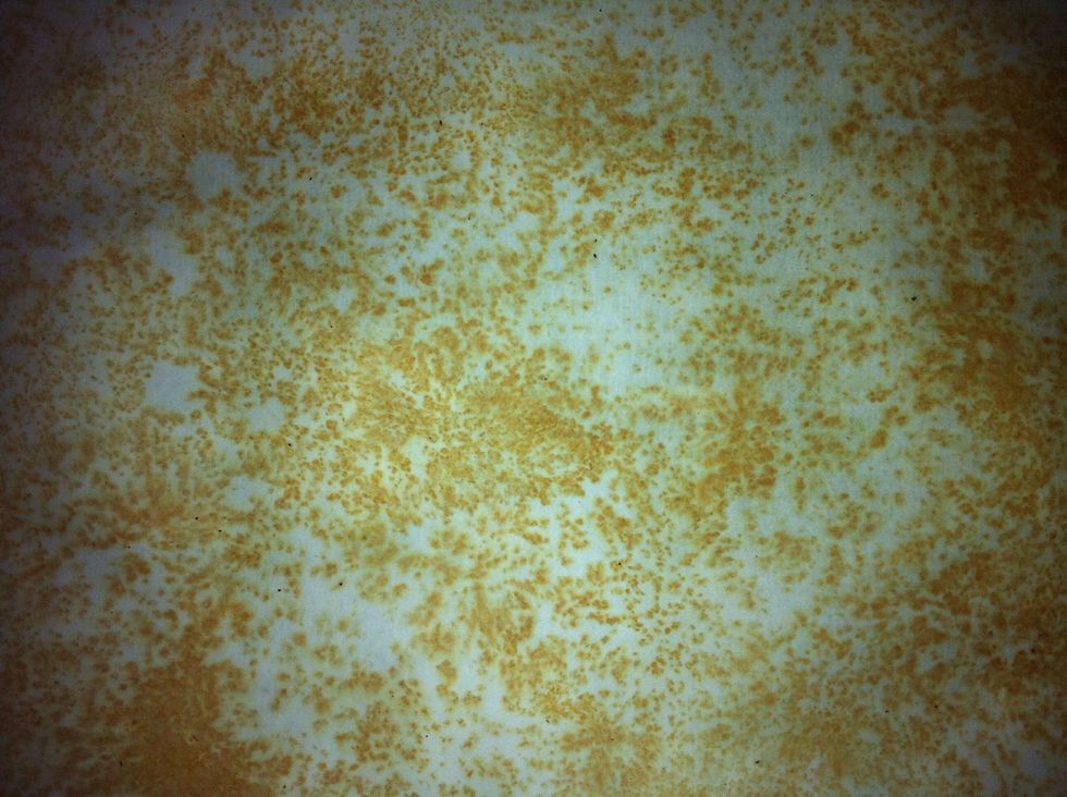 remove tea and nice pattern is formed over paper which can also be used for your projects