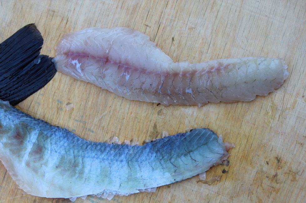 Remove the fillet from the fish. You are now half way finished and should have one fillet.