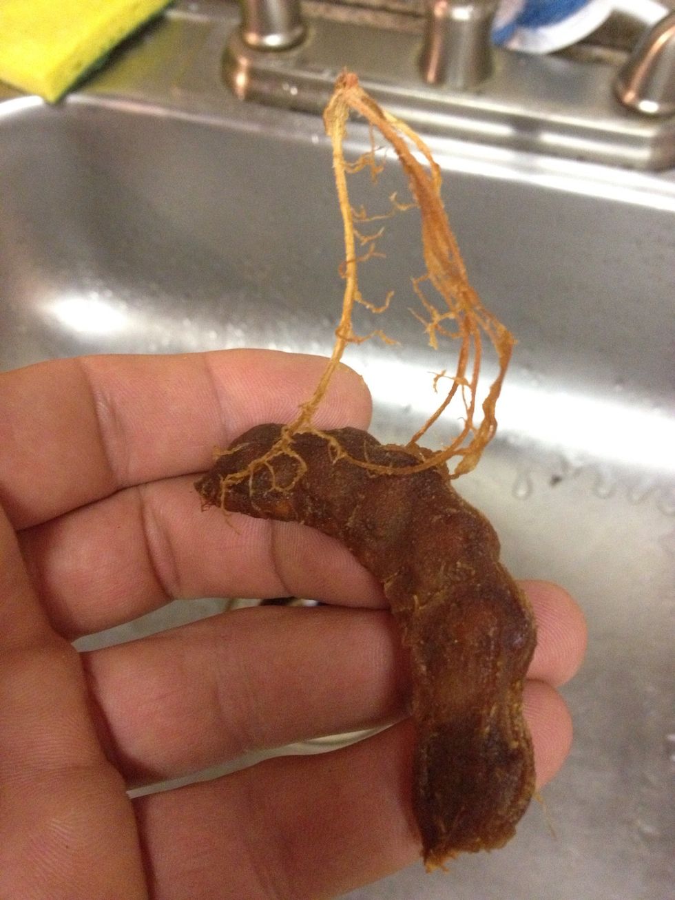 Remove the root structure. At this point you can eat them. Just watch out for the rock hard seeds!