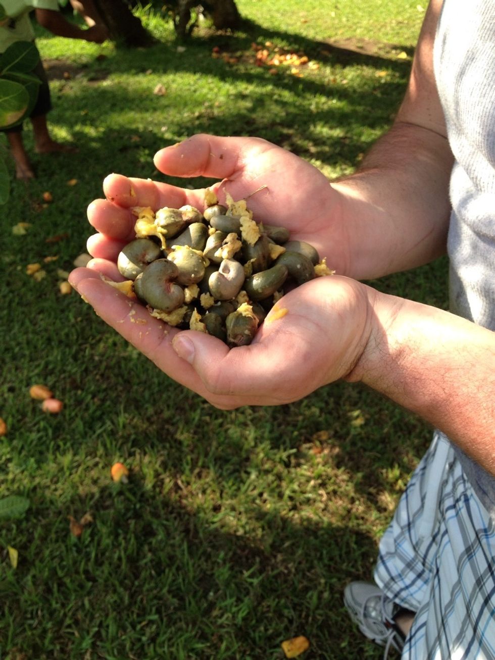 Remove the seeds using a twisting method. Some say they can irritate the skin but I didn't feel a thing.