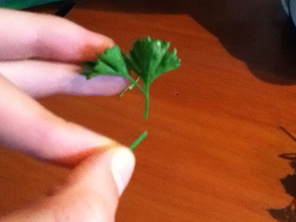 Remove the stem of the parsley